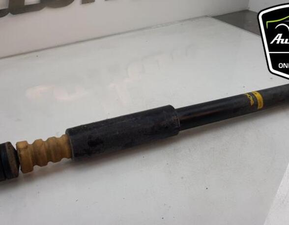 Shock Absorber SUZUKI SWIFT III (MZ, EZ)