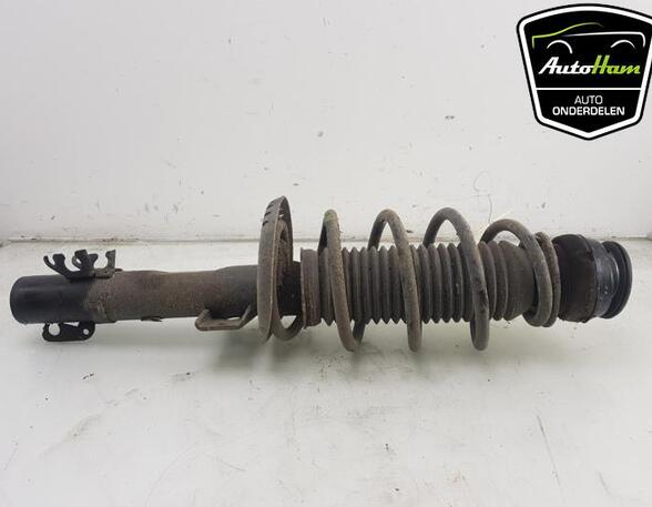 Shock Absorber SKODA FABIA III Estate (NJ5), SKODA RAPID (NH3, NK3, NK6), SKODA RAPID Spaceback (NH1)