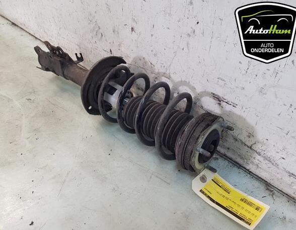 Shock Absorber FORD FIESTA VI (CB1, CCN)