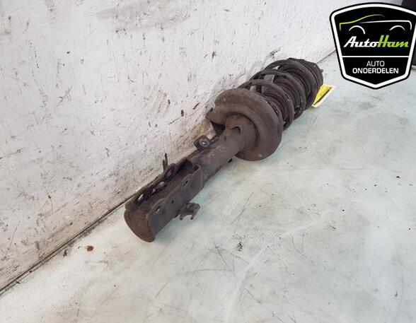 Shock Absorber FORD FIESTA VI (CB1, CCN)