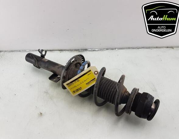 Shock Absorber VW UP! (121, 122, BL1, BL2, BL3, 123), SKODA E-CITIGO (NE1), SKODA CITIGO (NF1)