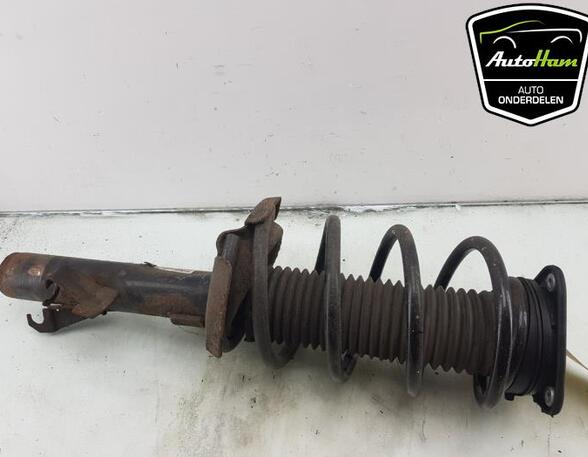 Shock Absorber VOLVO V50 (545)