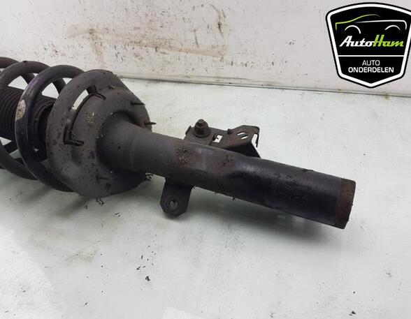 Shock Absorber FORD TRANSIT V363 Bus (FAD, FBD), FORD TRANSIT V363 Van (FCD, FDD), FORD TRANSIT Van (FA_ _)