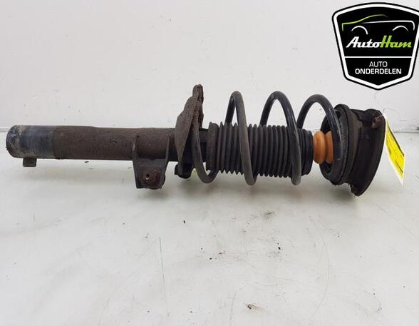 Shock Absorber VW TOURAN (5T1)