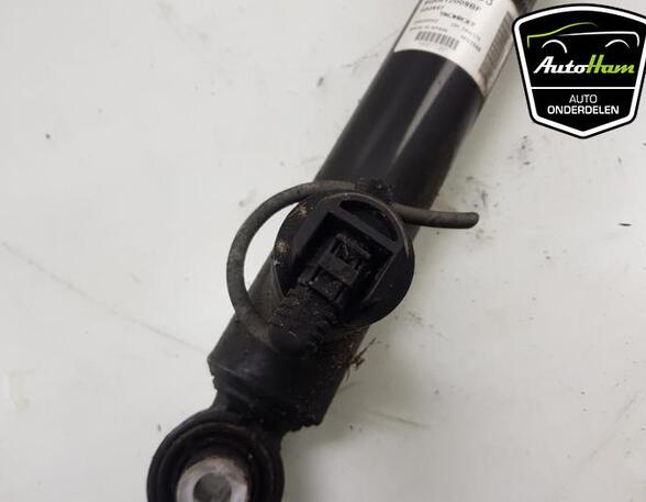 Shock Absorber SKODA OCTAVIA III Combi (5E5, 5E6)