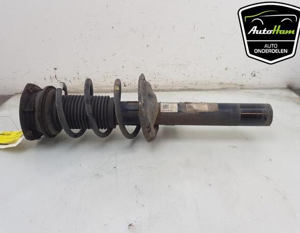 Shock Absorber VW TIGUAN (AD1, AX1)