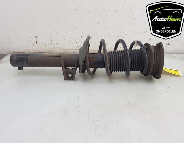 Shock Absorber VW TIGUAN (AD1, AX1)