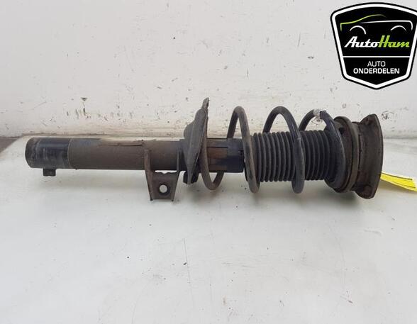 Shock Absorber VW TIGUAN (AD1, AX1)