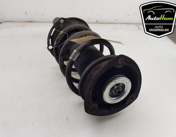 Shock Absorber SKODA KODIAQ (NS7, NV7, NS6)