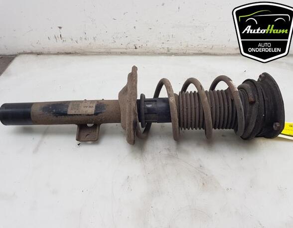 Shock Absorber SEAT IBIZA V (KJ1, KJG)