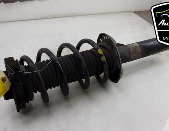 Shock Absorber SKODA SUPERB II Estate (3T5), VW PASSAT Variant (3C5), VW PASSAT (362)