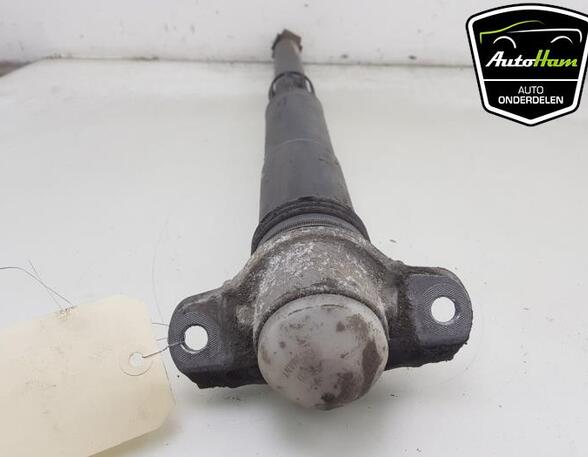 Shock Absorber VW GOLF VII (5G1, BQ1, BE1, BE2), VW GOLF VIII (CD1)