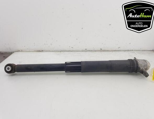 Shock Absorber VW GOLF VII (5G1, BQ1, BE1, BE2), VW GOLF VIII (CD1)