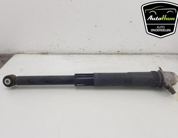 Shock Absorber VW GOLF VII (5G1, BQ1, BE1, BE2), VW GOLF VIII (CD1)