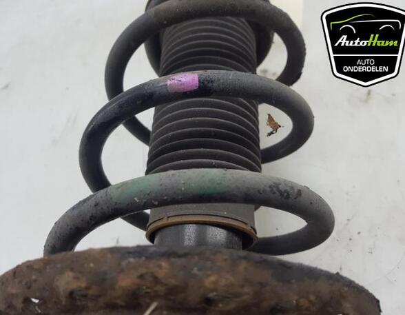 Shock Absorber HYUNDAI i10 II (BA, IA), HYUNDAI i10 III (AC3, AI3)