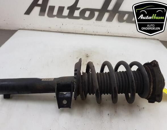 Shock Absorber AUDI A3 (8P1), AUDI A3 Sportback (8PA)