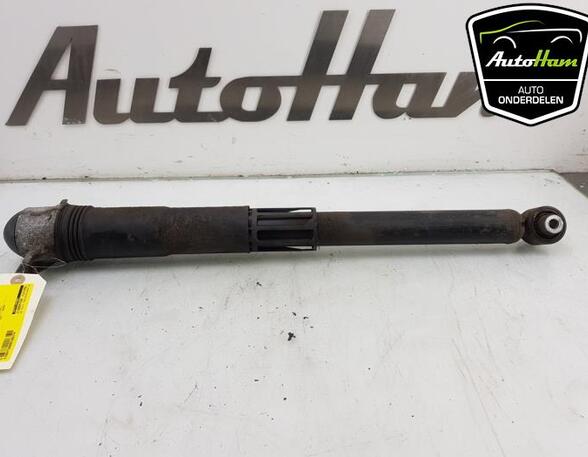 Shock Absorber SKODA KODIAQ (NS7, NV7, NS6)