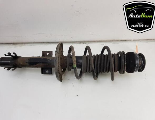 Shock Absorber SKODA CITIGO (NF1)