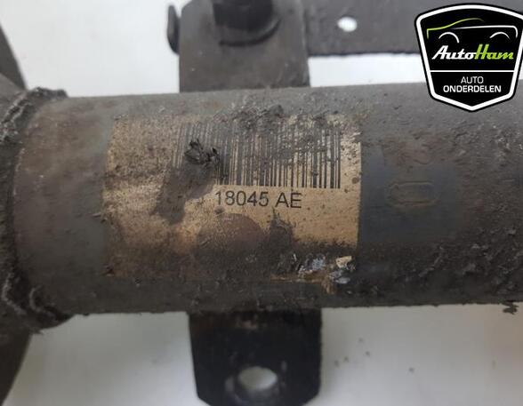 Shock Absorber FORD TRANSIT Bus (FD_ _, FB_ _, FS_ _, FZ_ _, FC_ _), FORD TRANSIT Van (FA_ _)