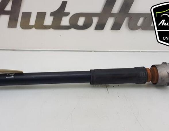 Shock Absorber MERCEDES-BENZ B-CLASS (W246, W242)