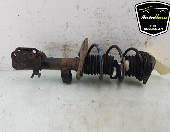 Shock Absorber RENAULT TWINGO III (BCM_, BCA_)