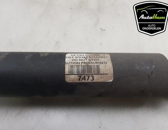 Shock Absorber CITROËN C3 PICASSO (SH_)