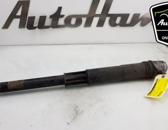 Shock Absorber SEAT LEON ST (5F8), SEAT LEON (5F1), SEAT LEON SC (5F5)