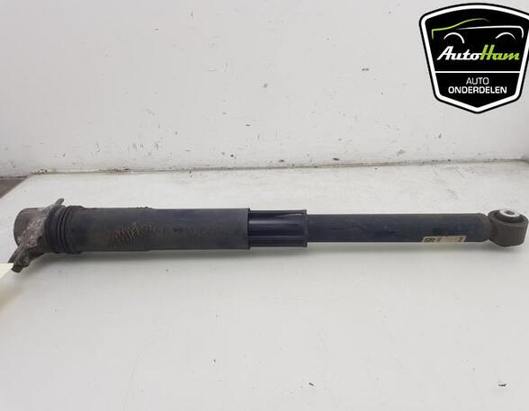 Shock Absorber VW GOLF VIII (CD1), VW GOLF VII (5G1, BQ1, BE1, BE2)