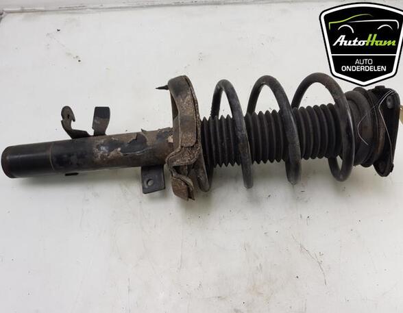 Shock Absorber FORD C-MAX II (DXA/CB7, DXA/CEU)