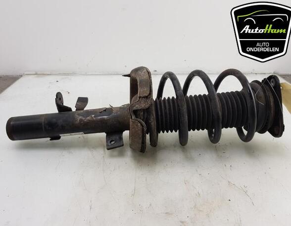 Shock Absorber FORD C-MAX II (DXA/CB7, DXA/CEU)