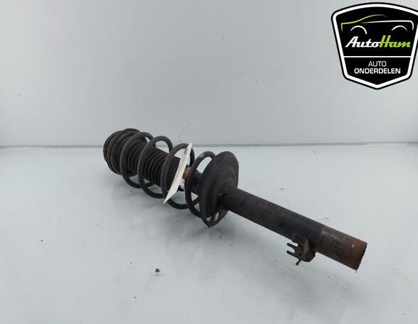 Shock Absorber TOYOTA AYGO (_B1_), CITROËN C1 (PM_, PN_), PEUGEOT 107 (PM_, PN_)