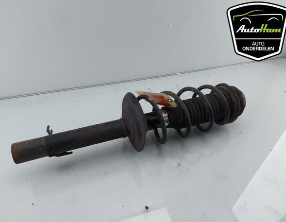 Shock Absorber TOYOTA AYGO (_B1_), CITROËN C1 (PM_, PN_), PEUGEOT 107 (PM_, PN_)