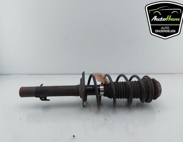 Shock Absorber TOYOTA AYGO (_B1_), CITROËN C1 (PM_, PN_), PEUGEOT 107 (PM_, PN_)