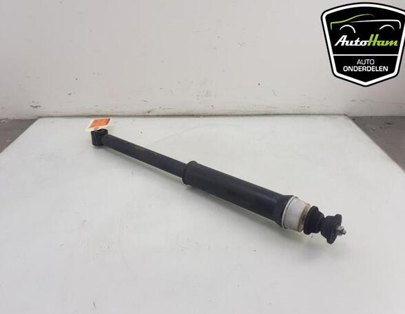 Shock Absorber RENAULT CLIO V (B7_)