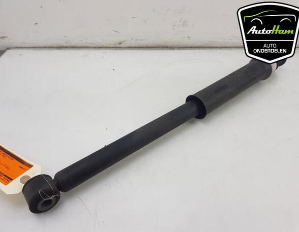 Shock Absorber RENAULT CLIO V (B7_)