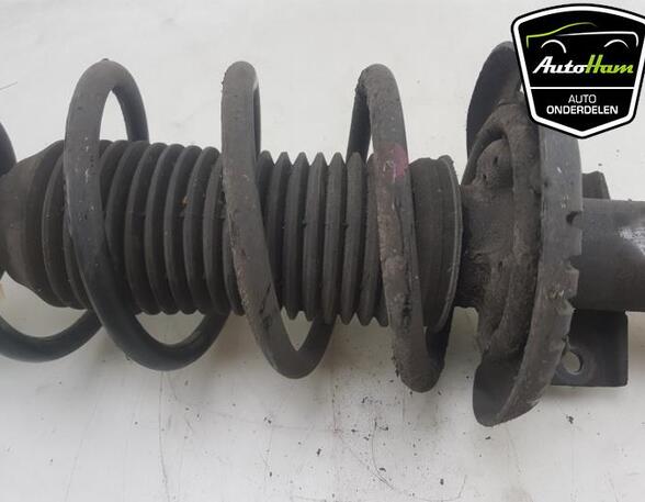 Shock Absorber SKODA RAPID (NH3, NK3, NK6), SKODA FABIA III Estate (NJ5), SKODA RAPID Spaceback (NH1)