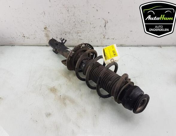 Shock Absorber AUDI A1 (8X1, 8XK), AUDI A1 Sportback (8XA, 8XF)