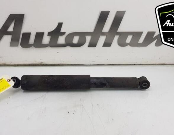 Shock Absorber FORD TRANSIT CONNECT (P65_, P70_, P80_)