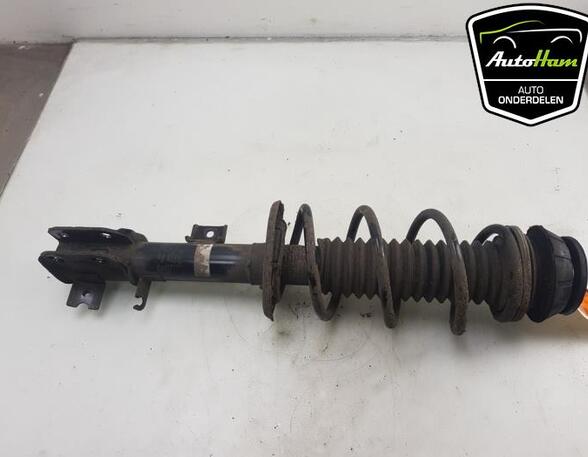 Shock Absorber SUZUKI VITARA (LY)