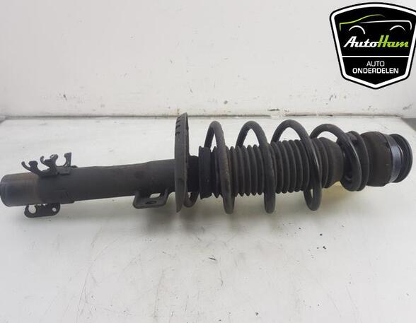 Shock Absorber SKODA RAPID (NH3, NK3, NK6), SKODA RAPID Spaceback (NH1), SKODA FABIA III Estate (NJ5)