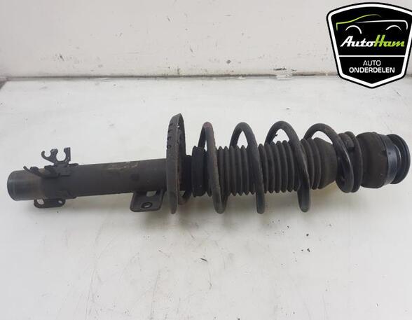 Shock Absorber SKODA RAPID (NH3, NK3, NK6), SKODA RAPID Spaceback (NH1), SKODA FABIA III Estate (NJ5)