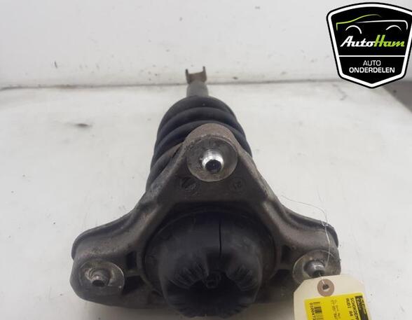 Shock Absorber AUDI A4 Avant (8E5, B6), AUDI A4 Avant (8ED, B7)