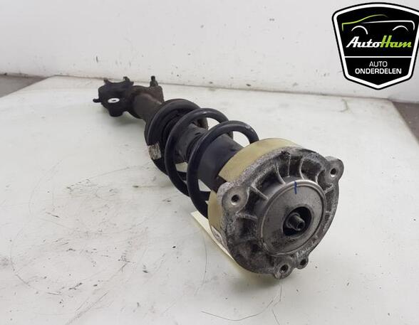 Shock Absorber AUDI A4 Avant (8W5, 8WD, B9), AUDI A5 Sportback (F5A, F5F)