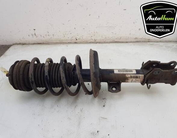 Shock Absorber FIAT GRANDE PUNTO (199_), FIAT PUNTO (199_), FIAT PUNTO EVO (199_)