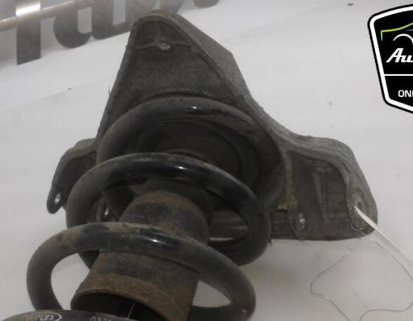 Shock Absorber AUDI A6 Avant (4B5, C5)