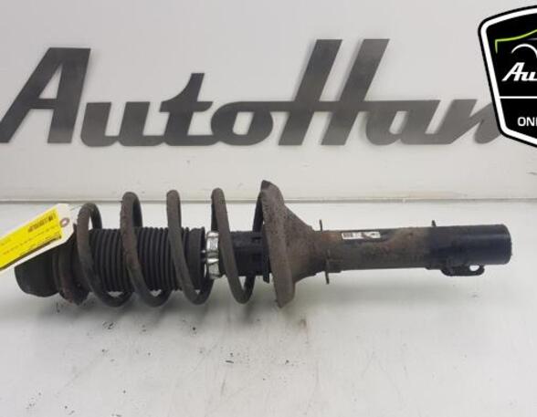 Shock Absorber SEAT TOLEDO II (1M2), SEAT LEON (1M1)