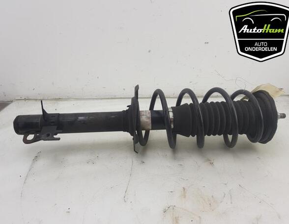 Shock Absorber TOYOTA AYGO (_B4_), PEUGEOT 108, CITROËN C1 II (PA_, PS_)