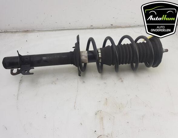 Shock Absorber TOYOTA AYGO (_B4_), PEUGEOT 108, CITROËN C1 II (PA_, PS_)