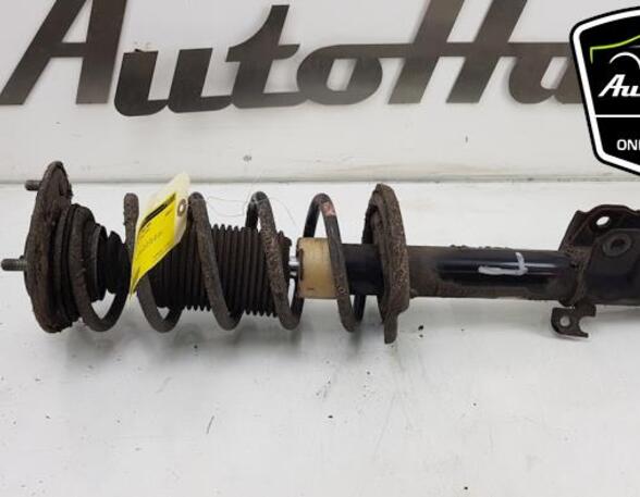 Shock Absorber MITSUBISHI COLT VI (Z3_A, Z2_A), MITSUBISHI Colt VII (Z2_A)