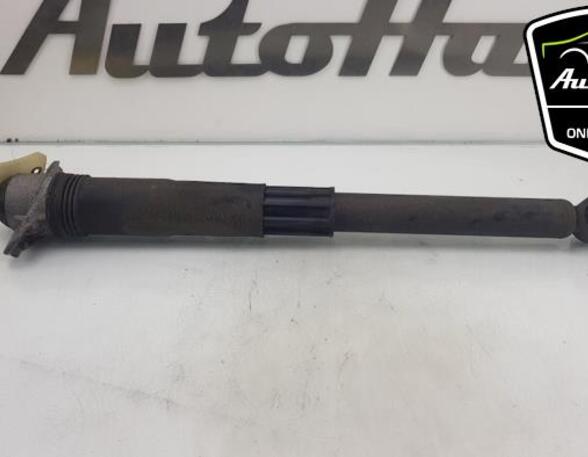 Shock Absorber VW GOLF VII (5G1, BQ1, BE1, BE2)